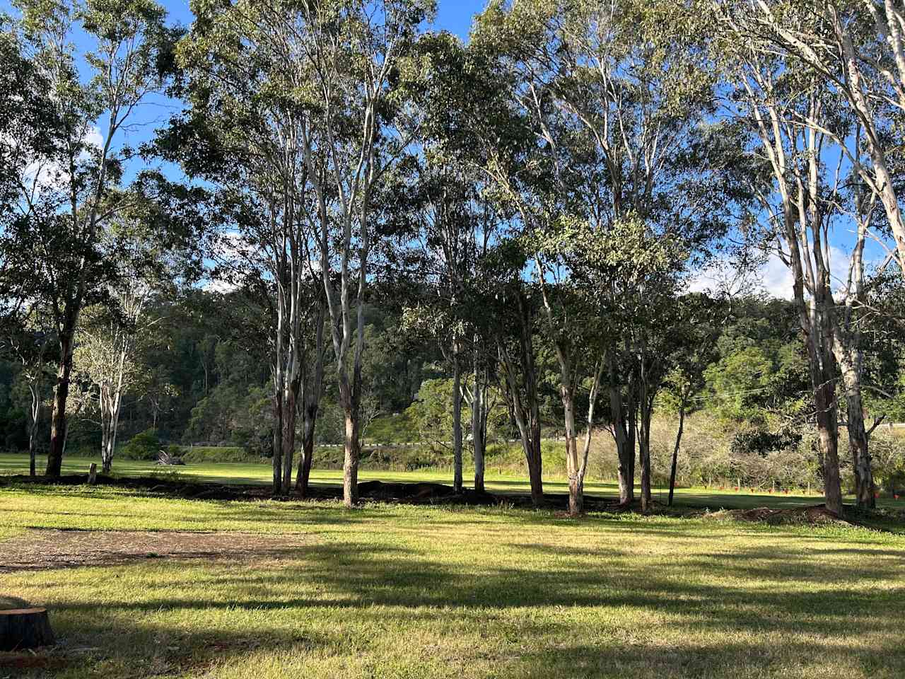 Wollombi flats camping