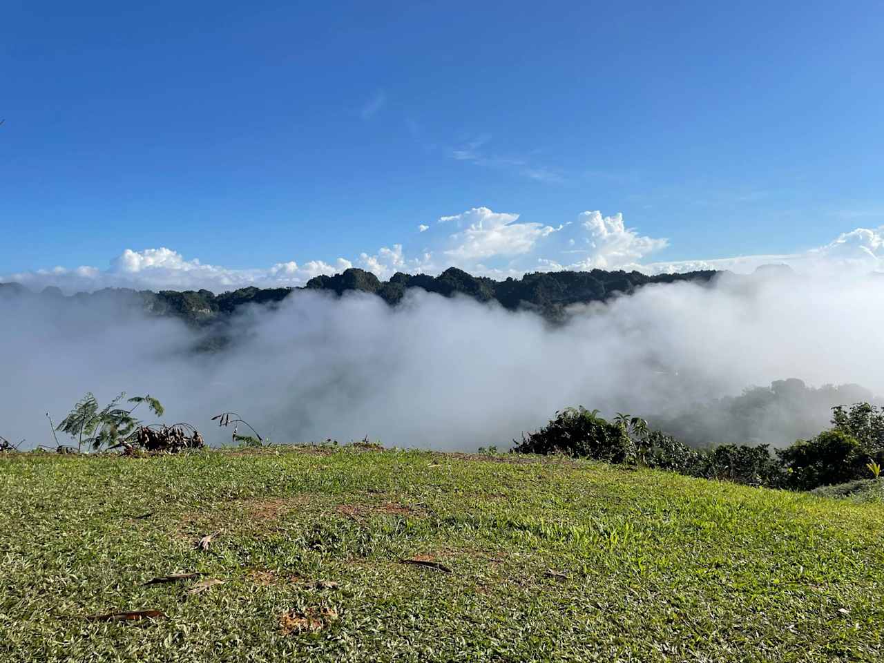 Hacienda La Tradición
