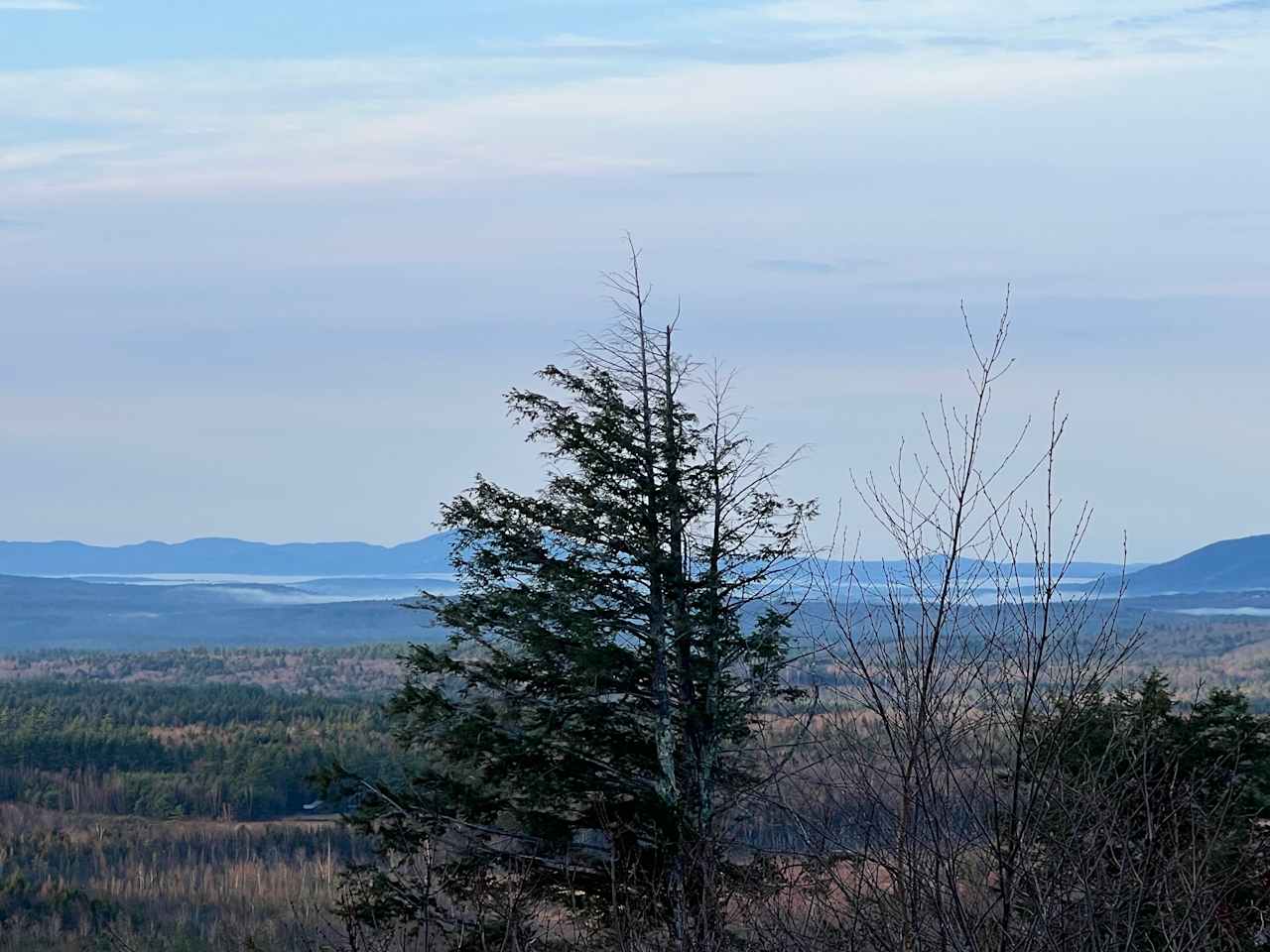 View from site 5