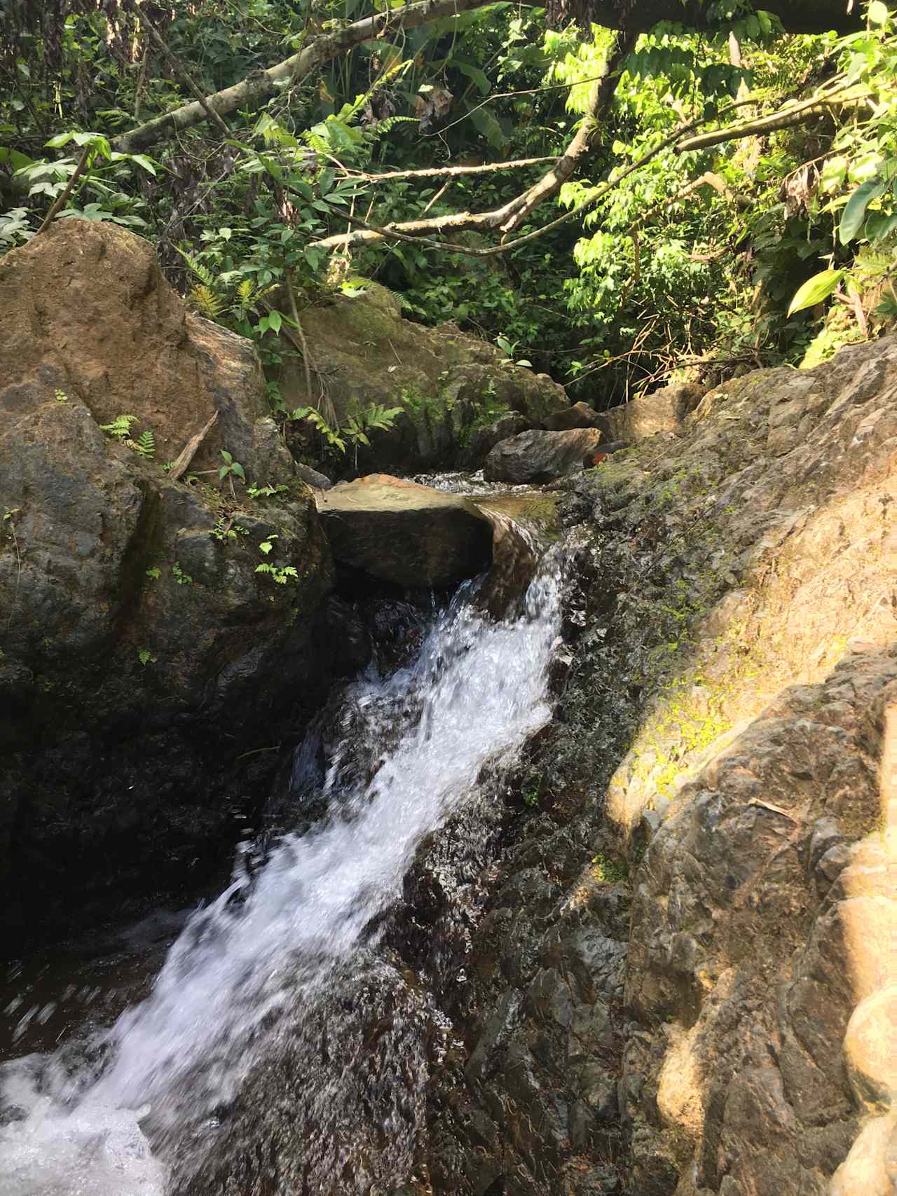 Estación Hacienda Verde