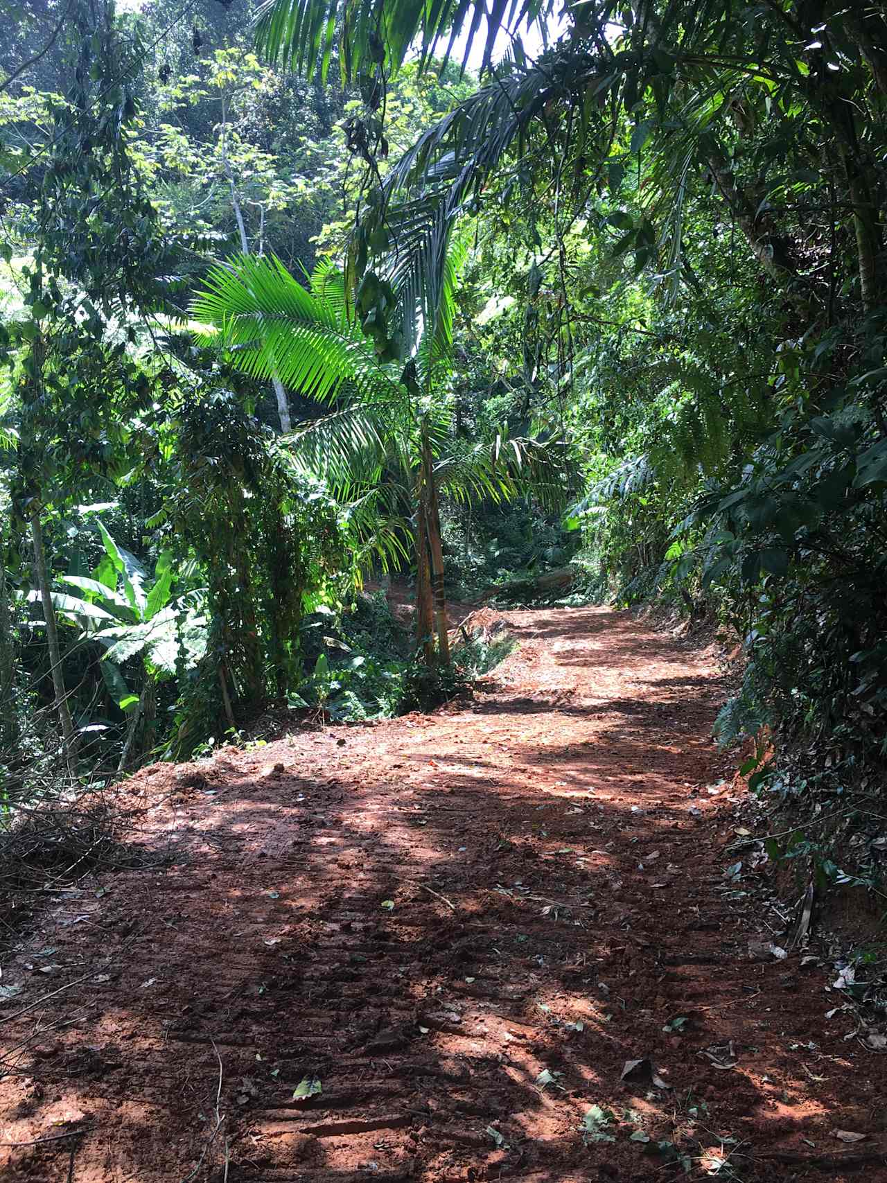 Estación Hacienda Verde