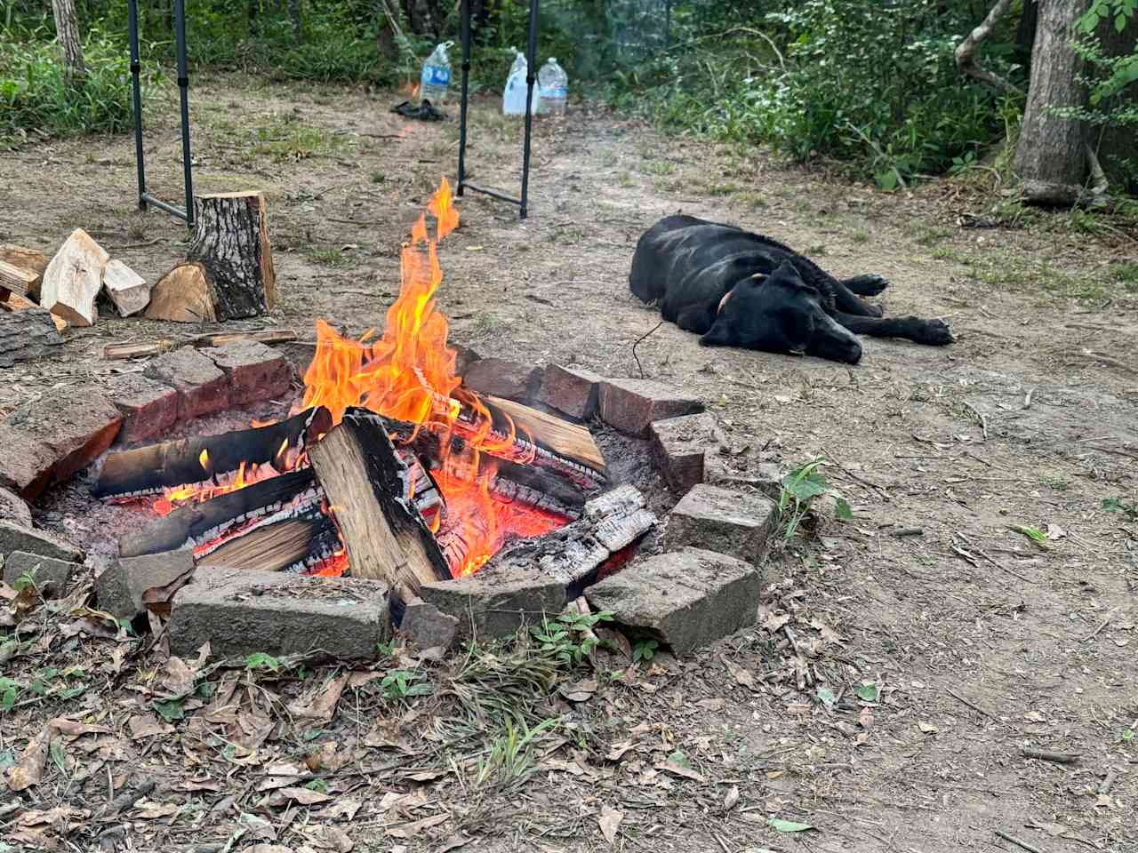 Site 2 with Luna