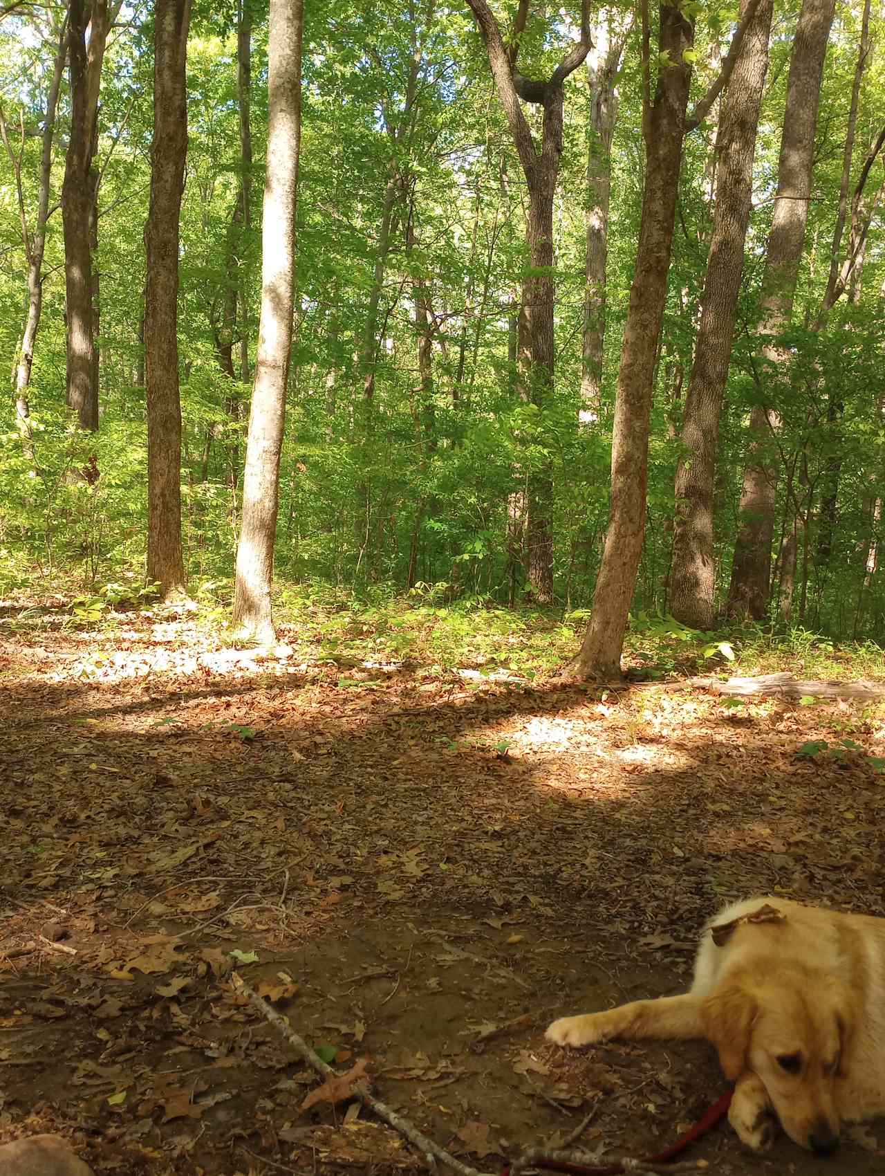 Belle and Beau Acres