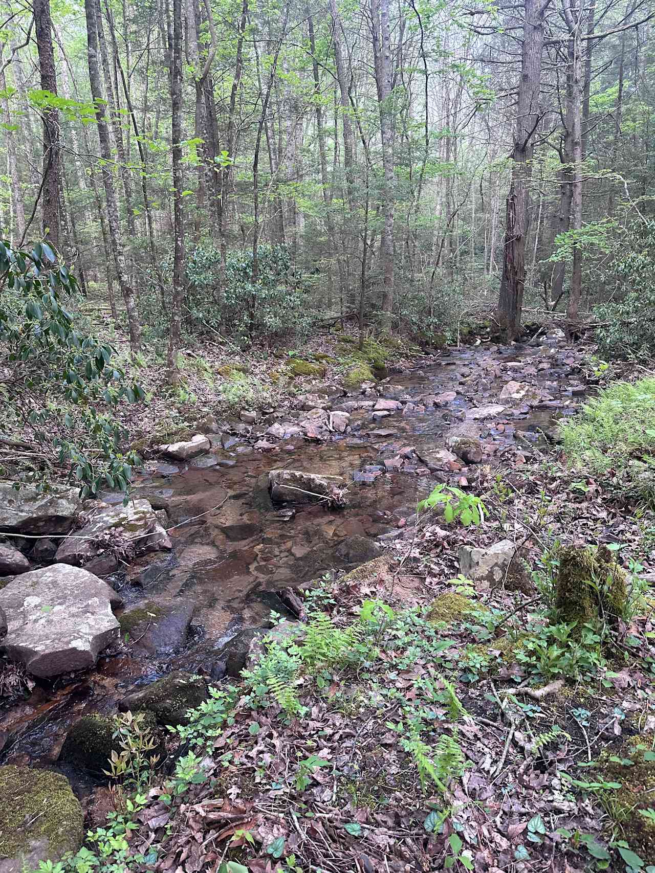Camp David on Cumberland Plateau