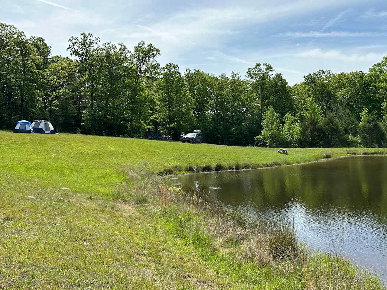 Private meadow and pond