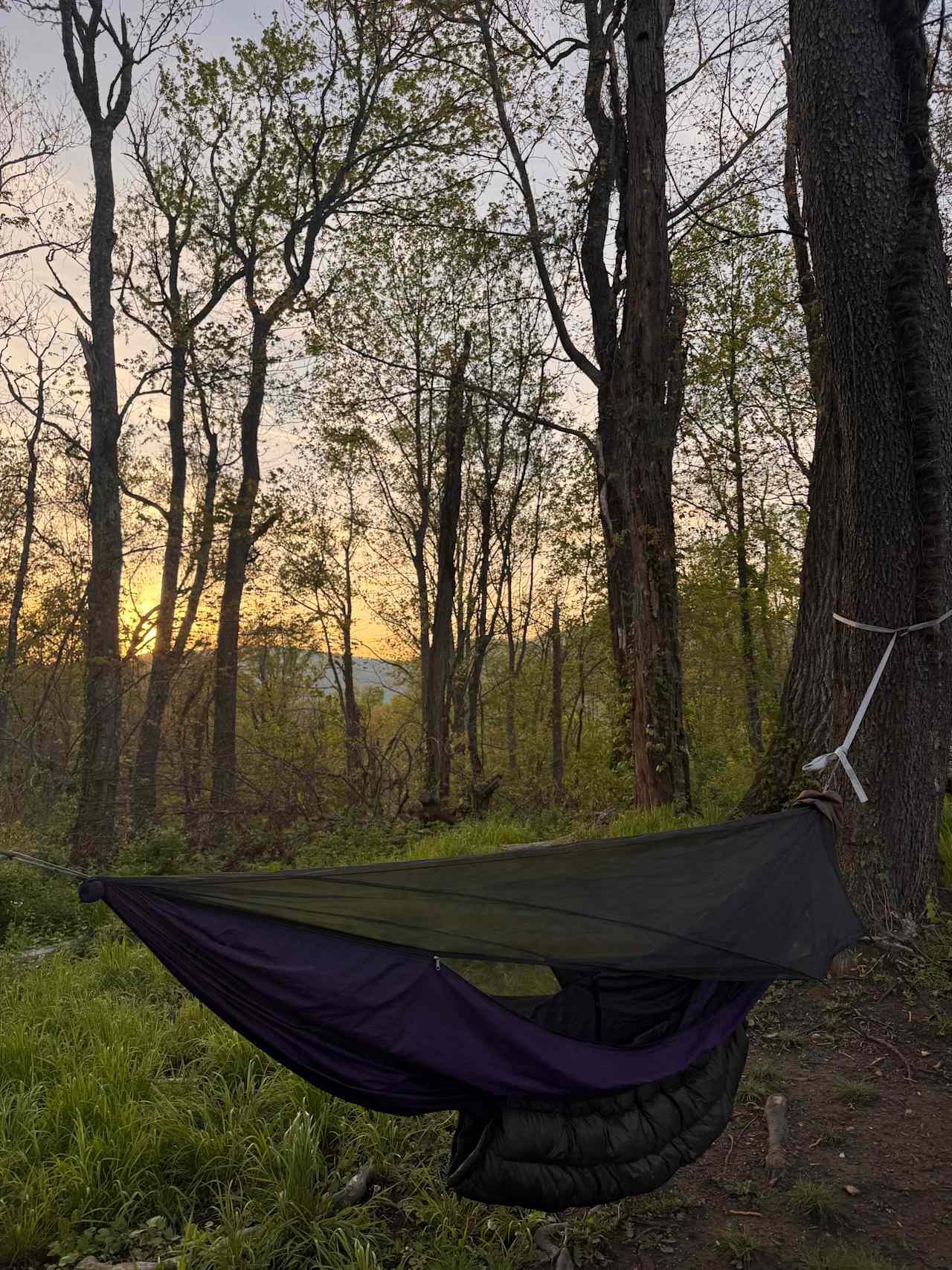 Barnhill Mountain in Fletcher, NC
