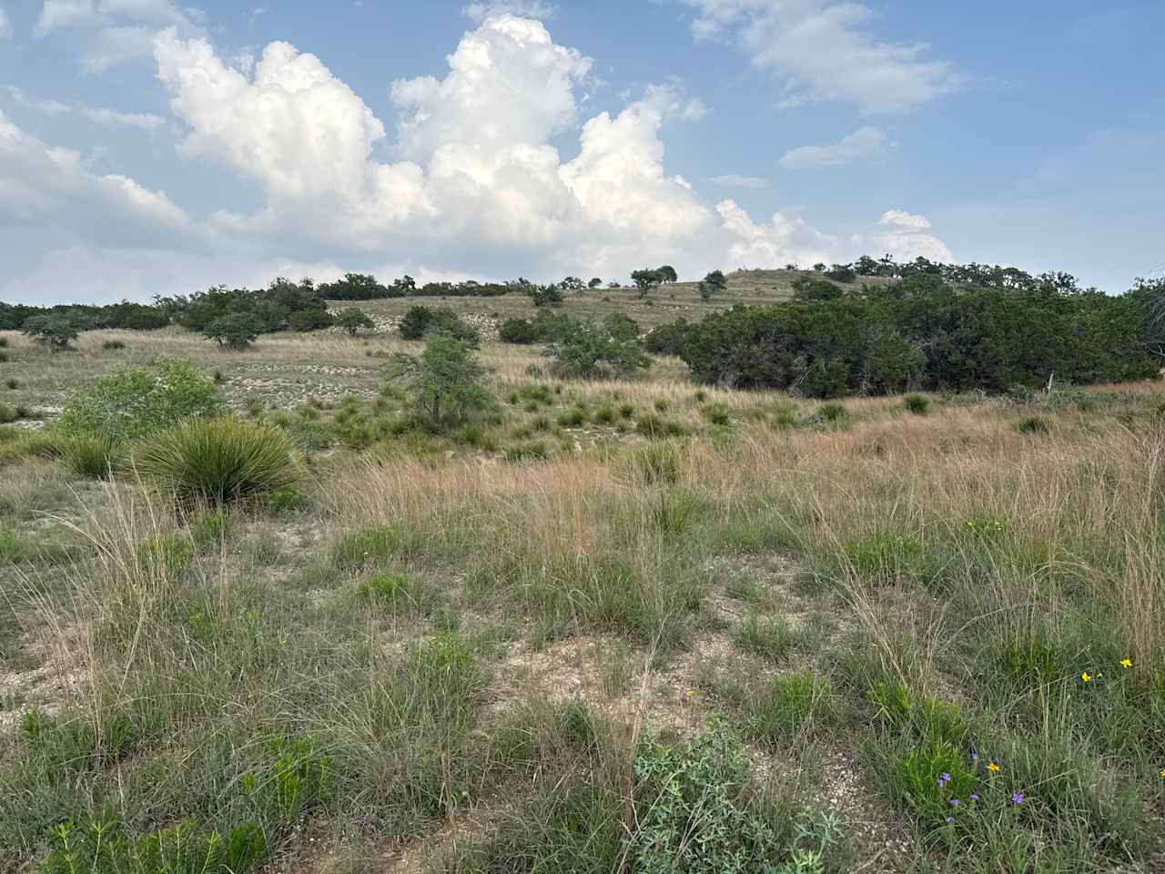 Lovely views, but plenty of trees by the tent sites.