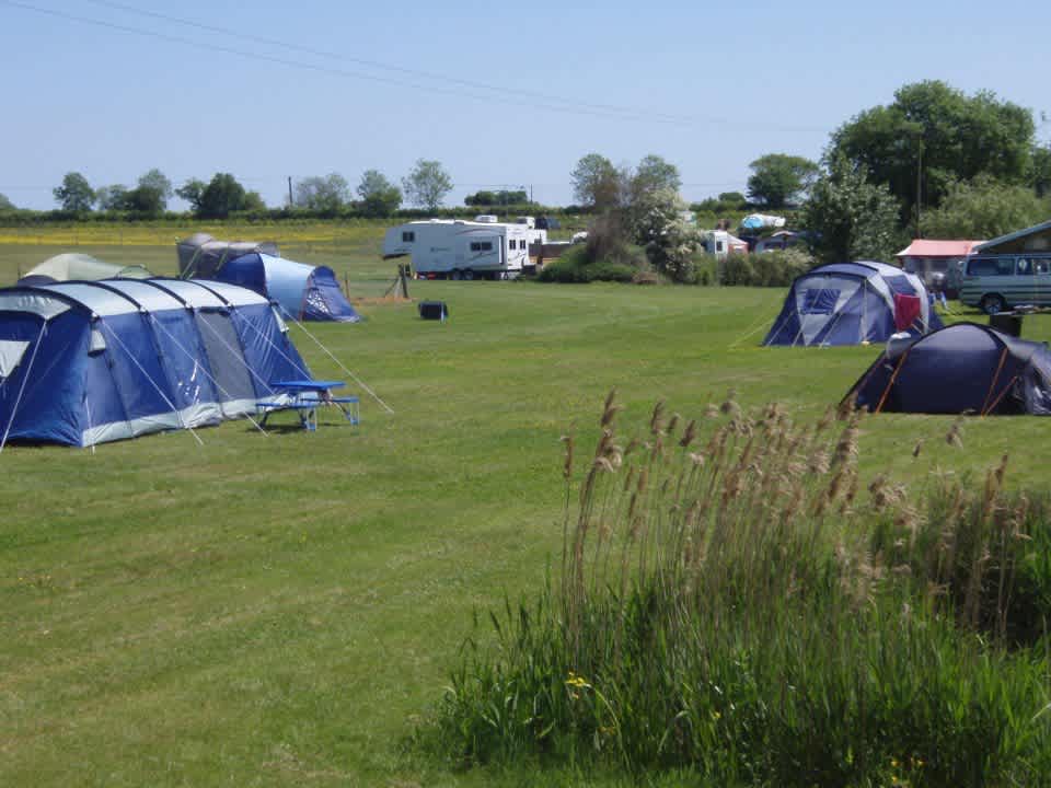 Field farm fisheries and campsite