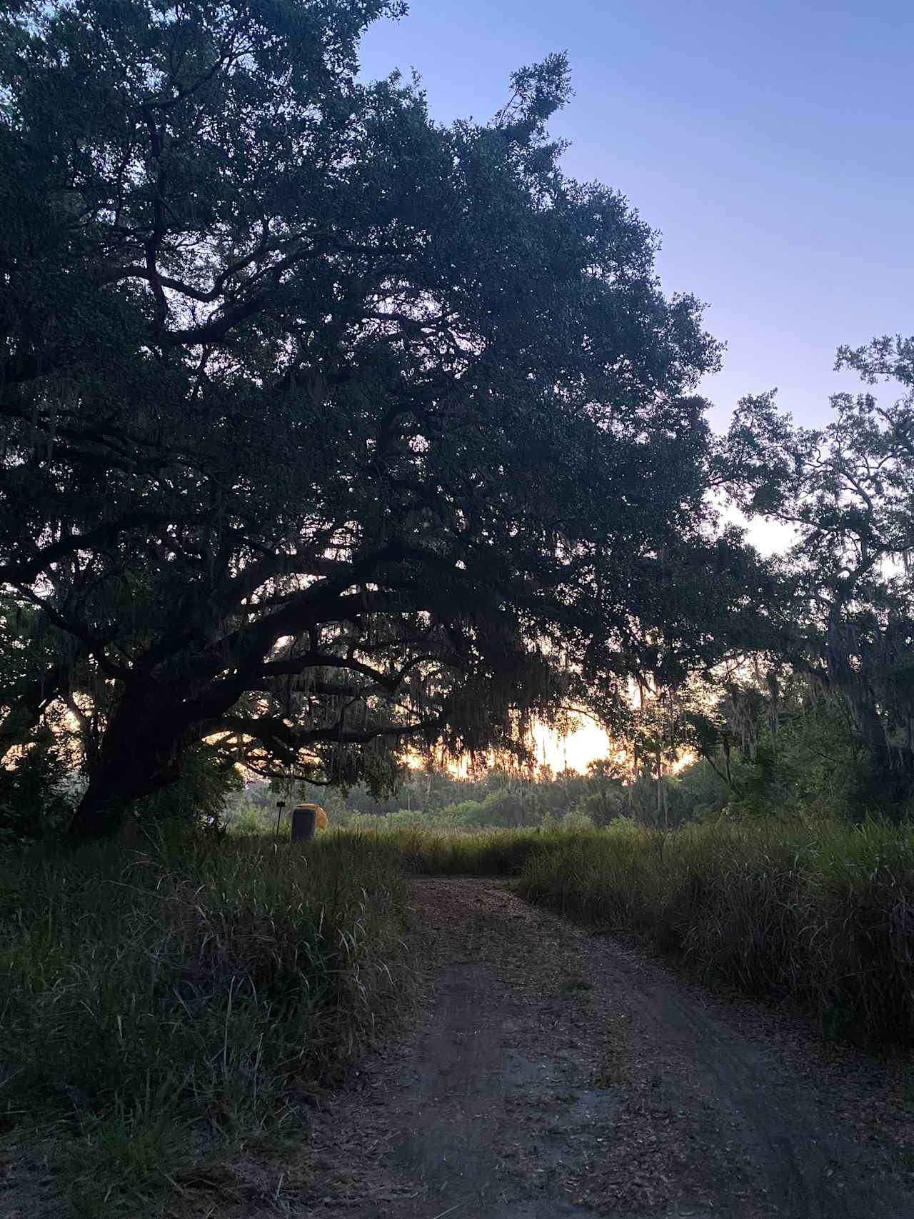 Sunrise in campsite