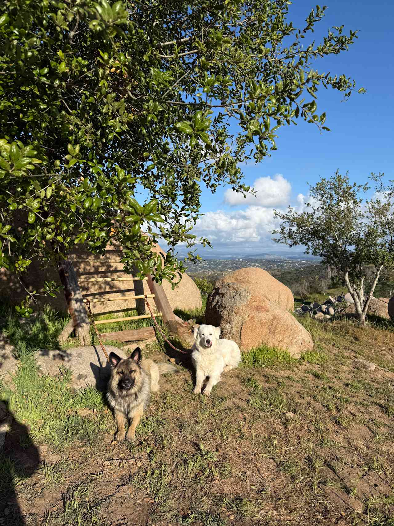 Splitrock Farm and Retreat