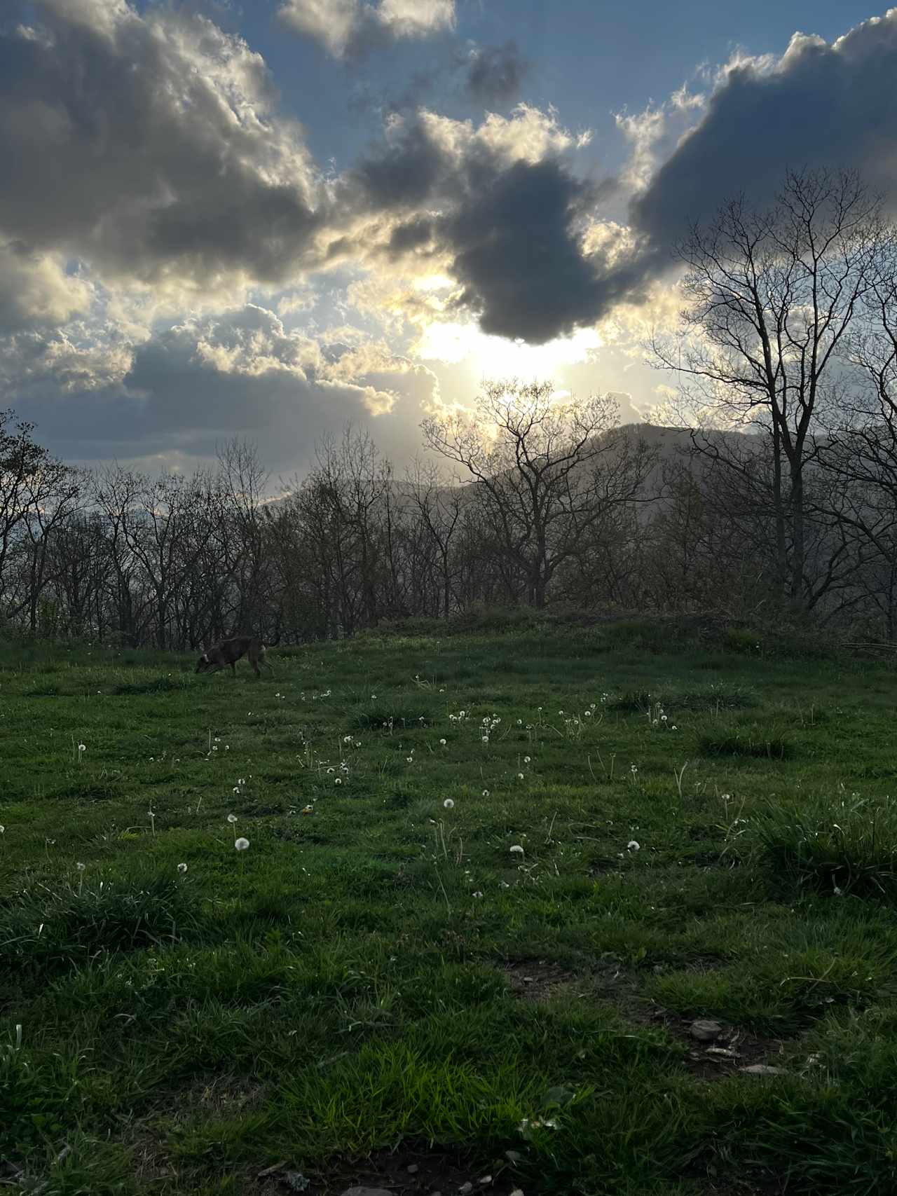 OnTop.camp - NW NC Ashe Co