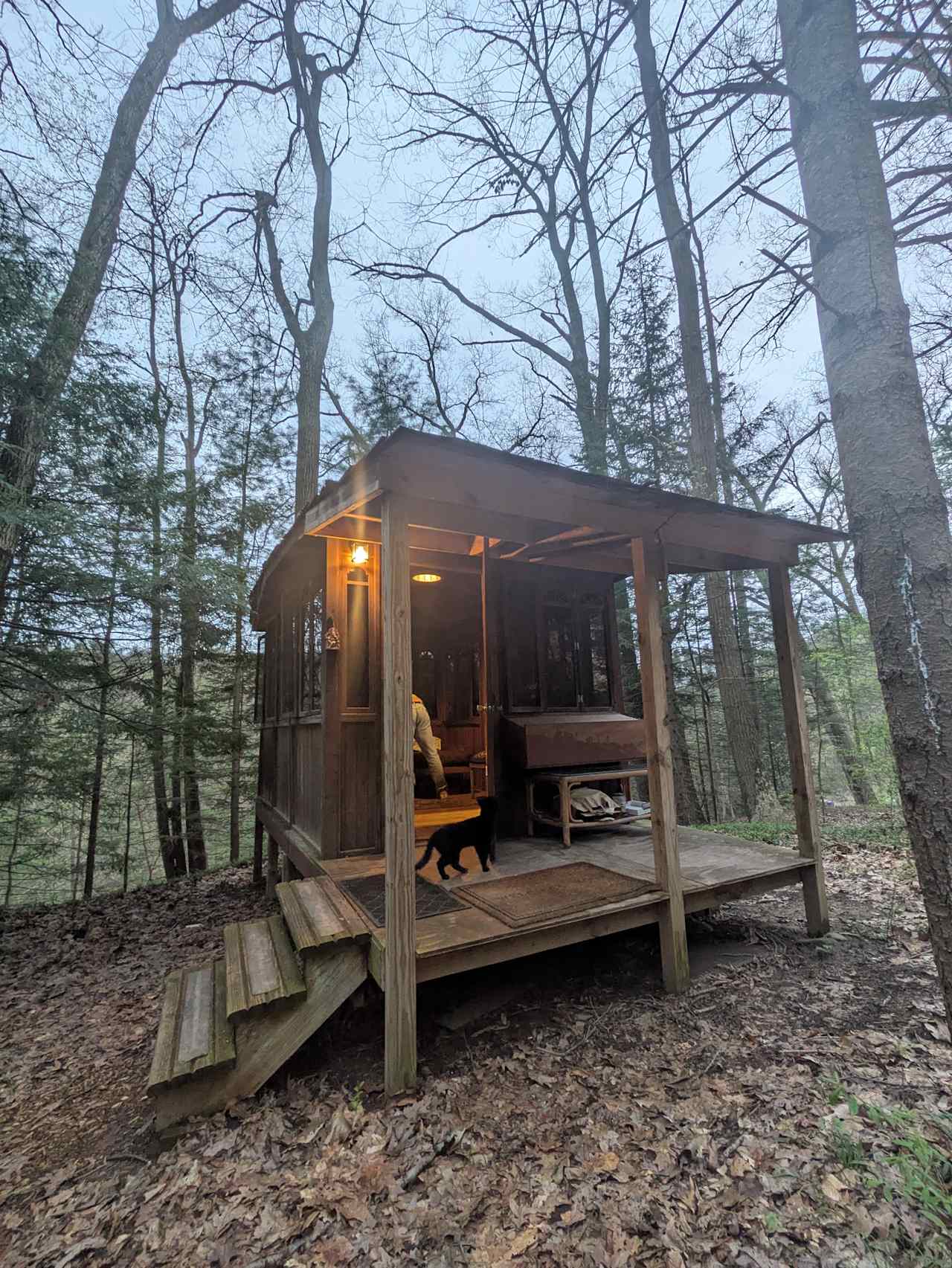 Hemlock & Hobbit Forest