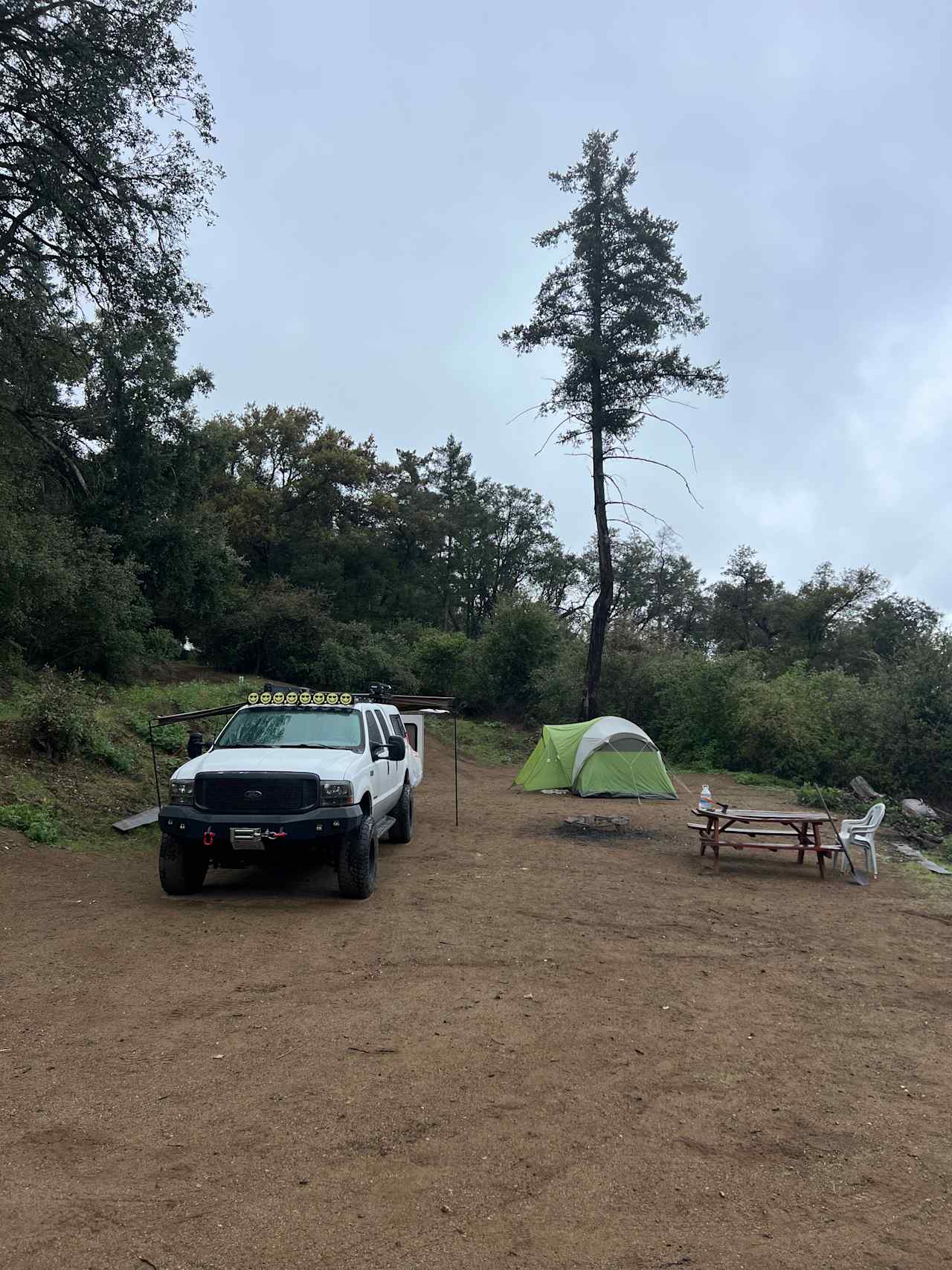 Magical Harrison Serenity Ranch