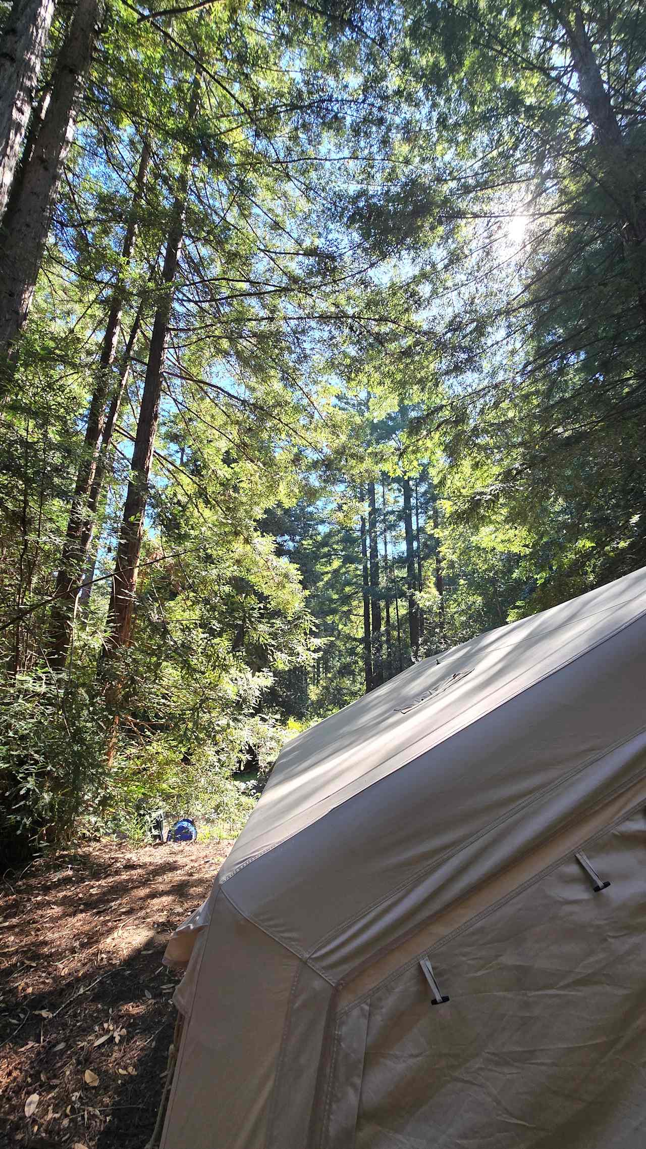 AMERSIAN CAMPERS