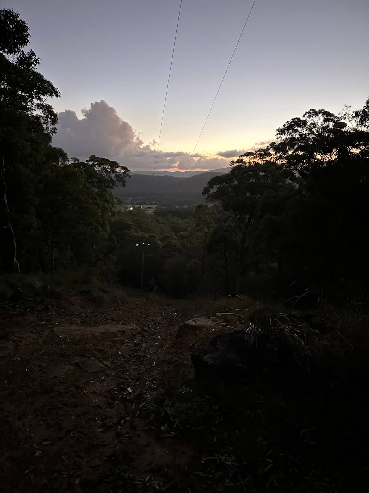 Mt Nellinda Campsite