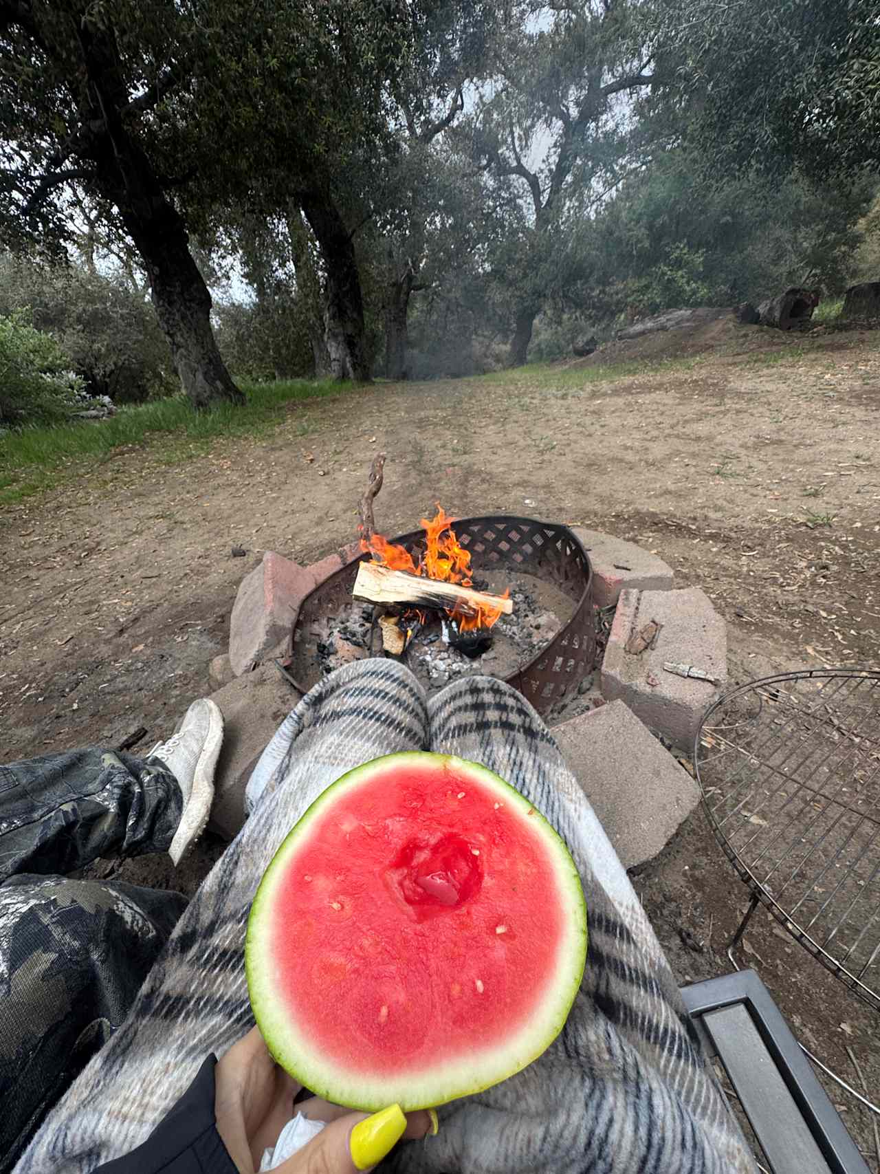 Magical Harrison Serenity Ranch