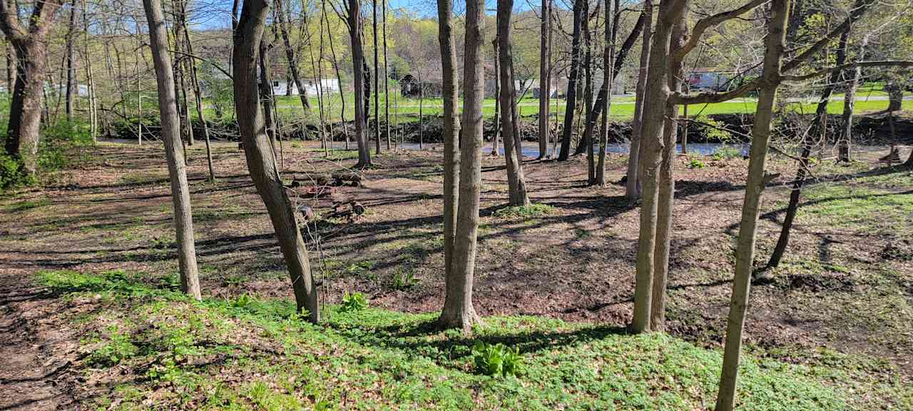 Fire circle and river