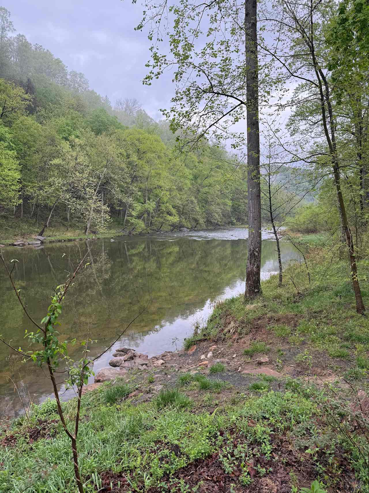 The Byrd's Nest on the River