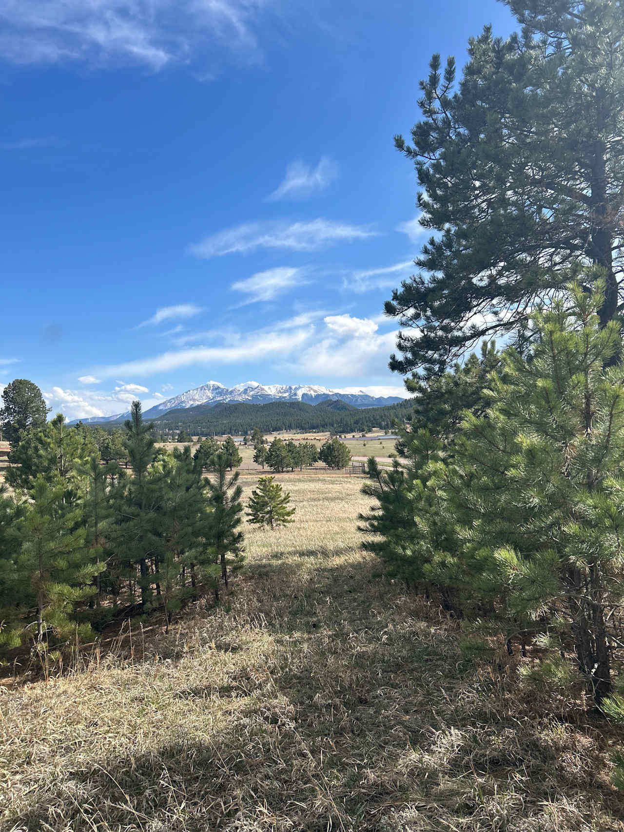 Dog friendly Peak Forest Ranch