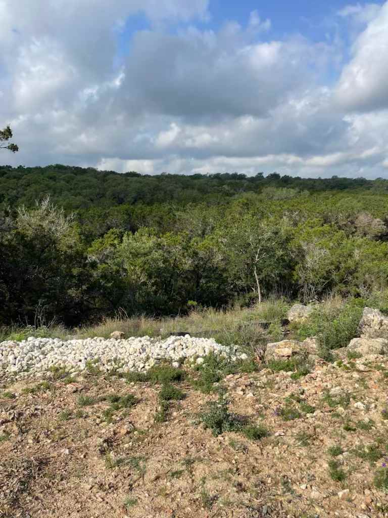 Back of the property we hiked around