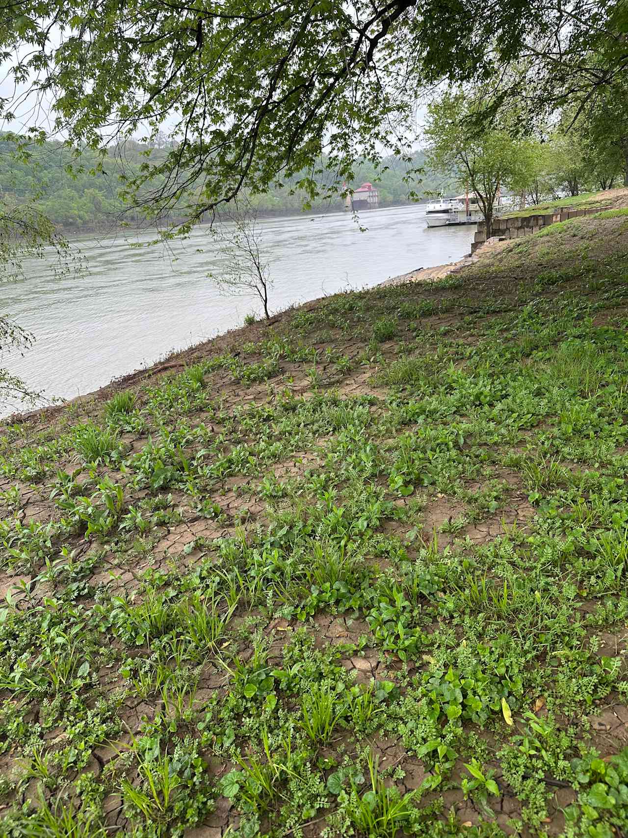 Ohio River experience