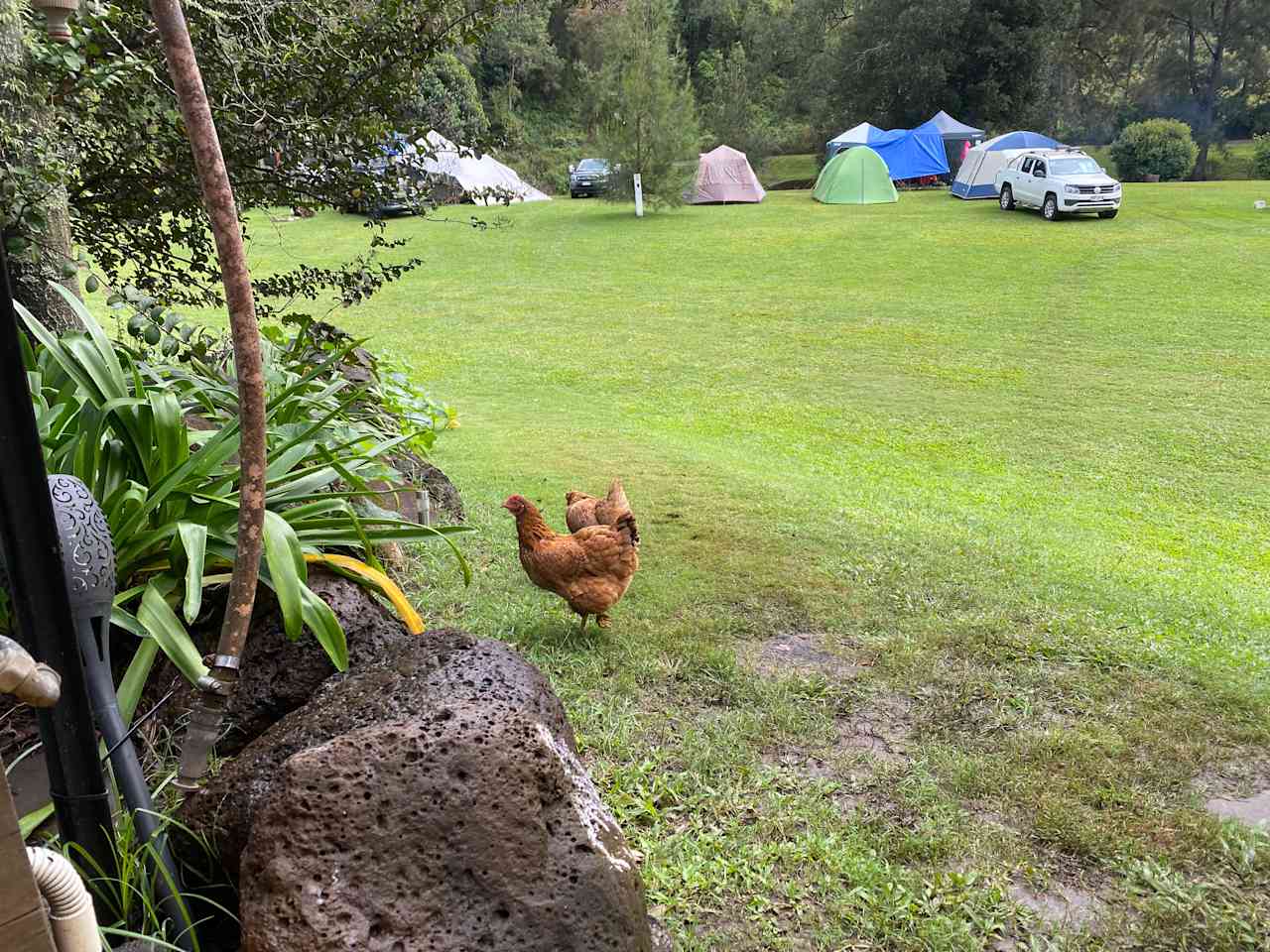 And friendly locals