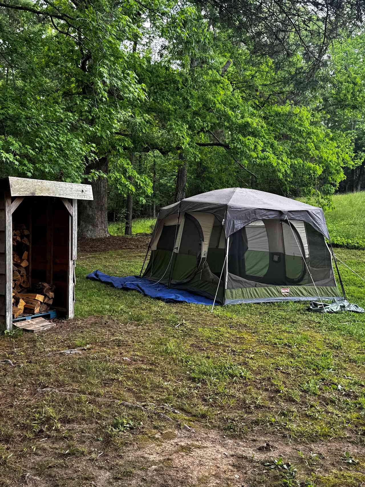 Neal Creek Camping Sites
