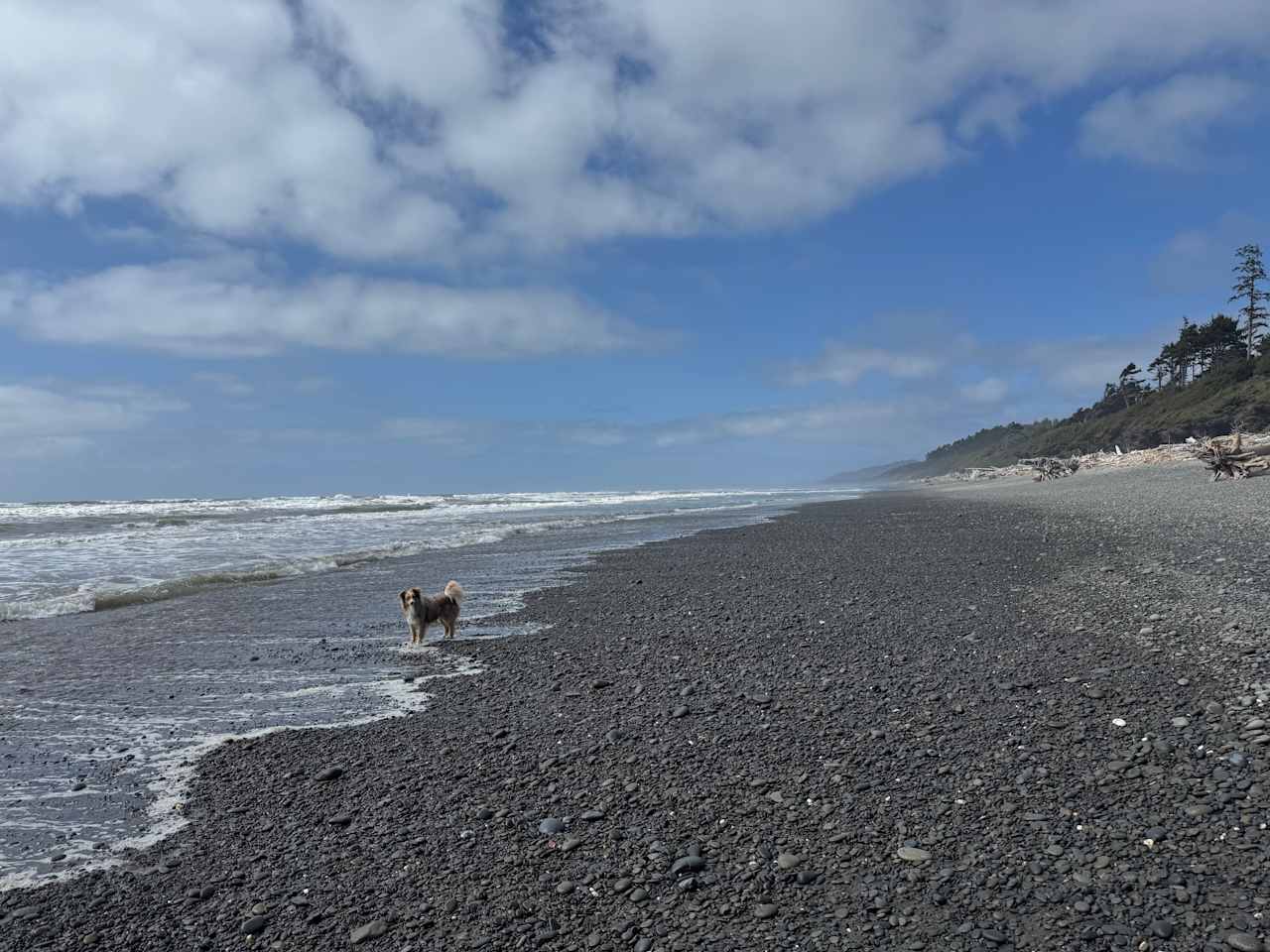 Wild WA Coast Lookout ($75 - $125)