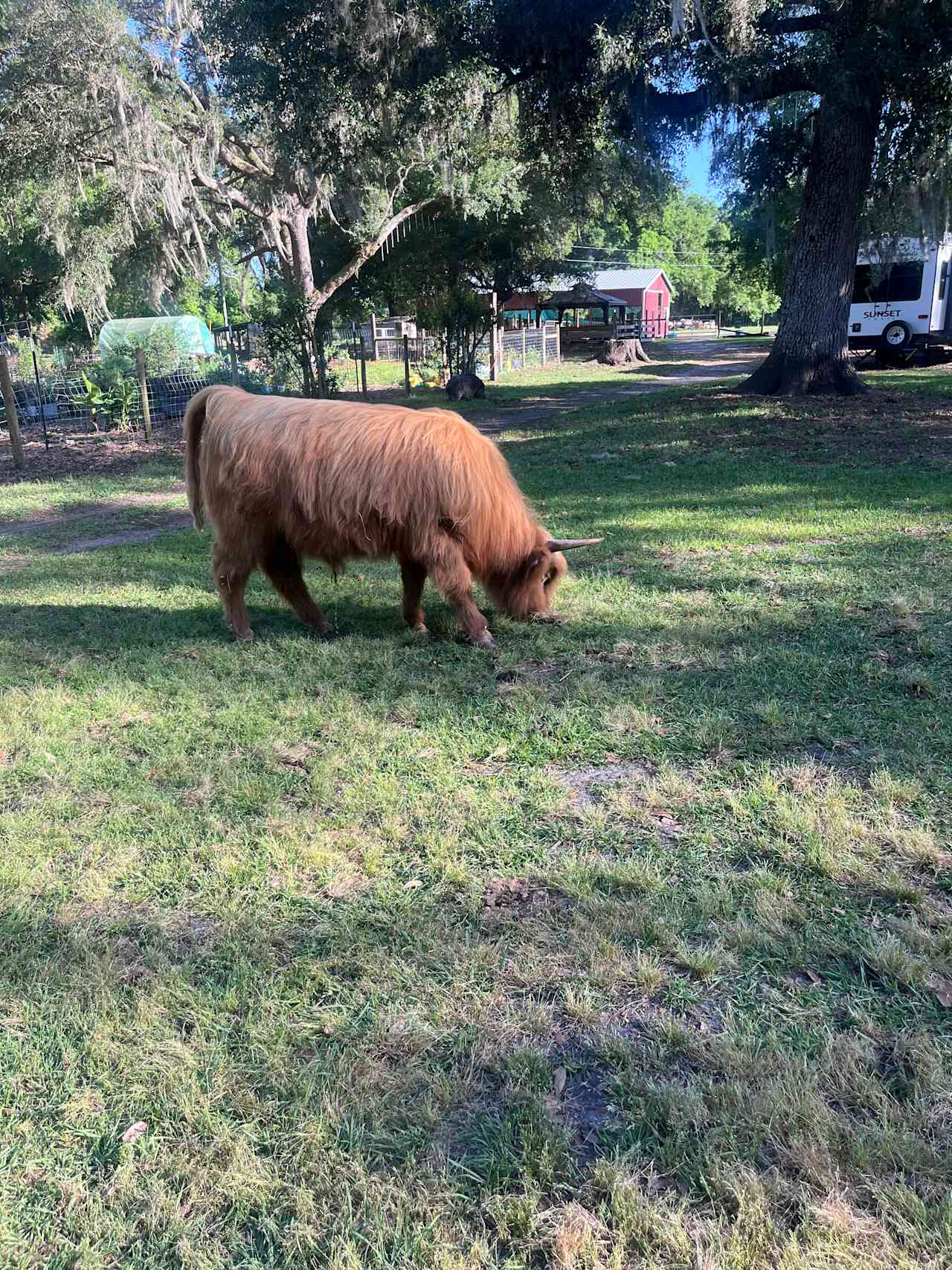 THE Farmstay for Animal Lovers!