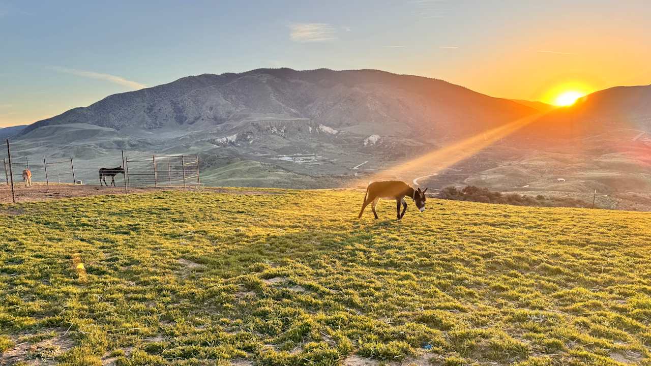 Lone Juniper Ranch