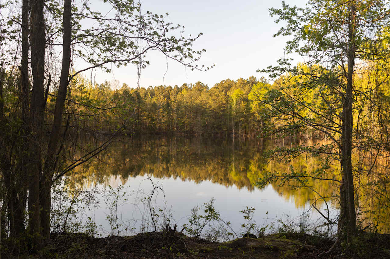 Scott’s Lakeview Camp and Park