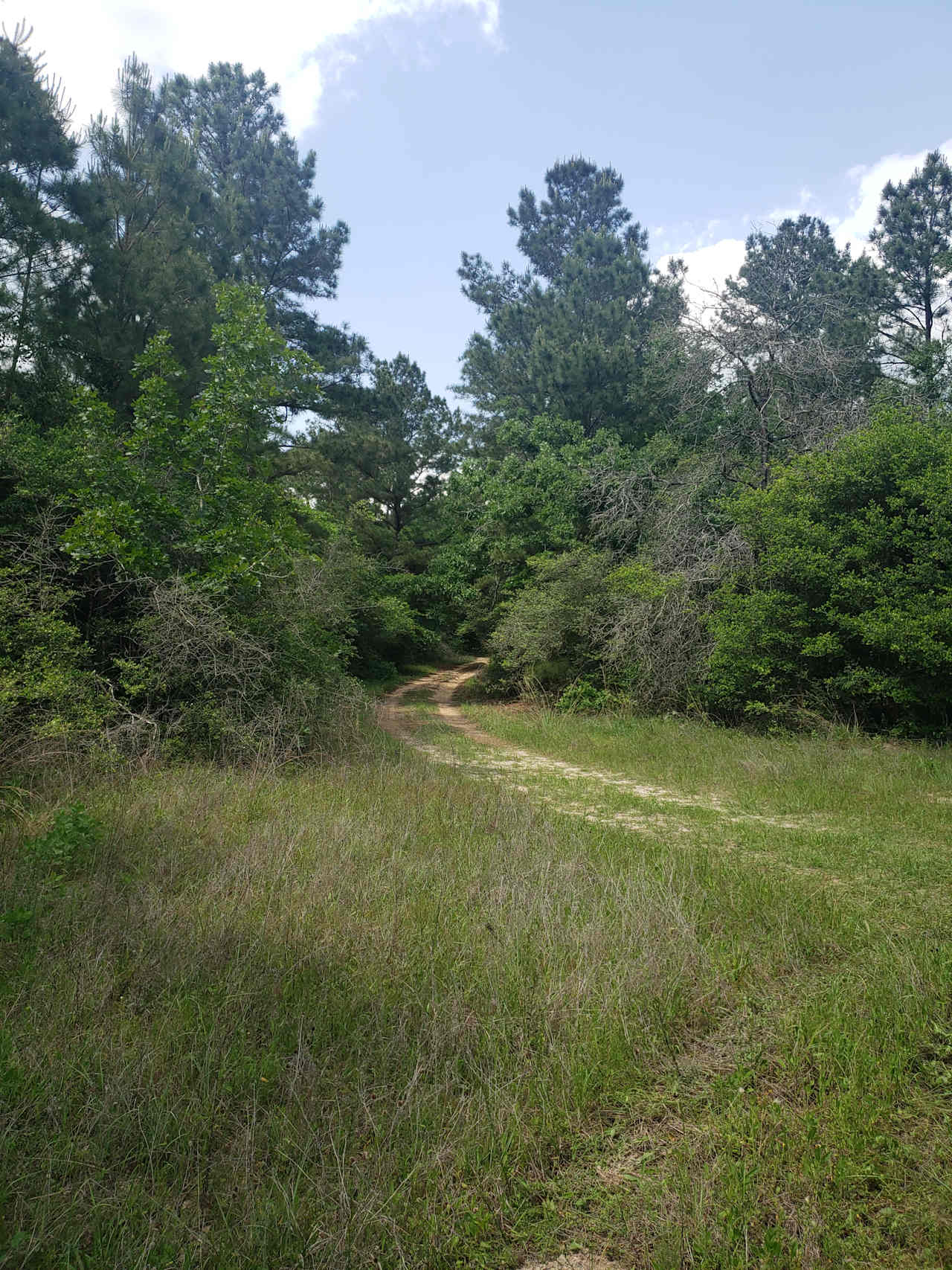 5D RANCH