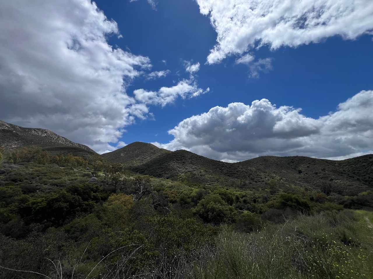 Dutchman Canyon