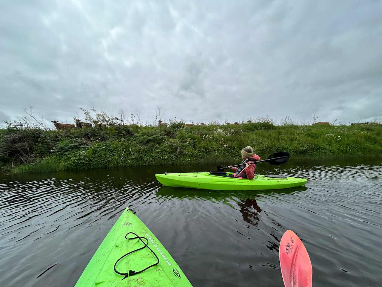 Kayaking Estero de San Antonio