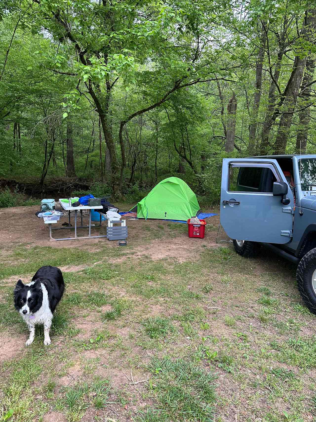 The Oasis at Harmon Creek Farms