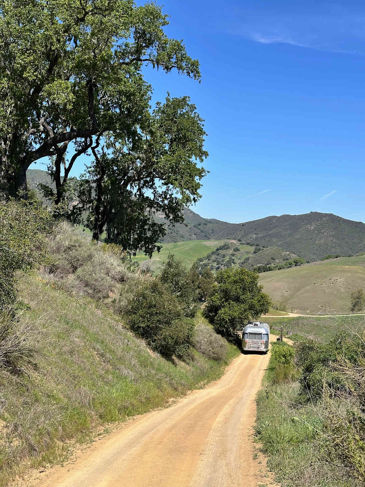 Freedog Farms @ Cactus Flower Ranch