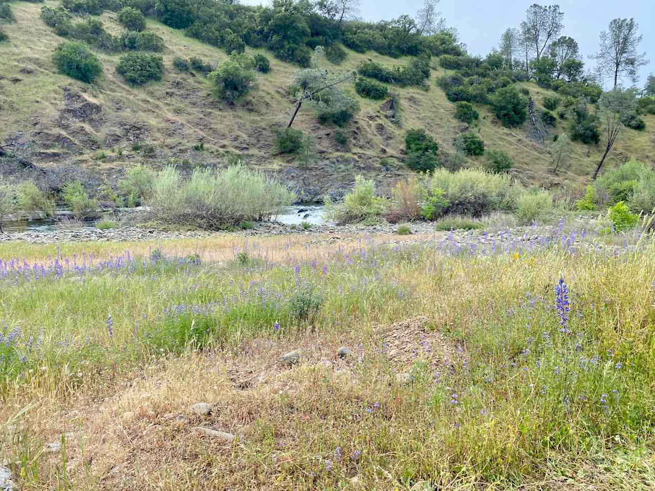 Cosumnes River Ranch