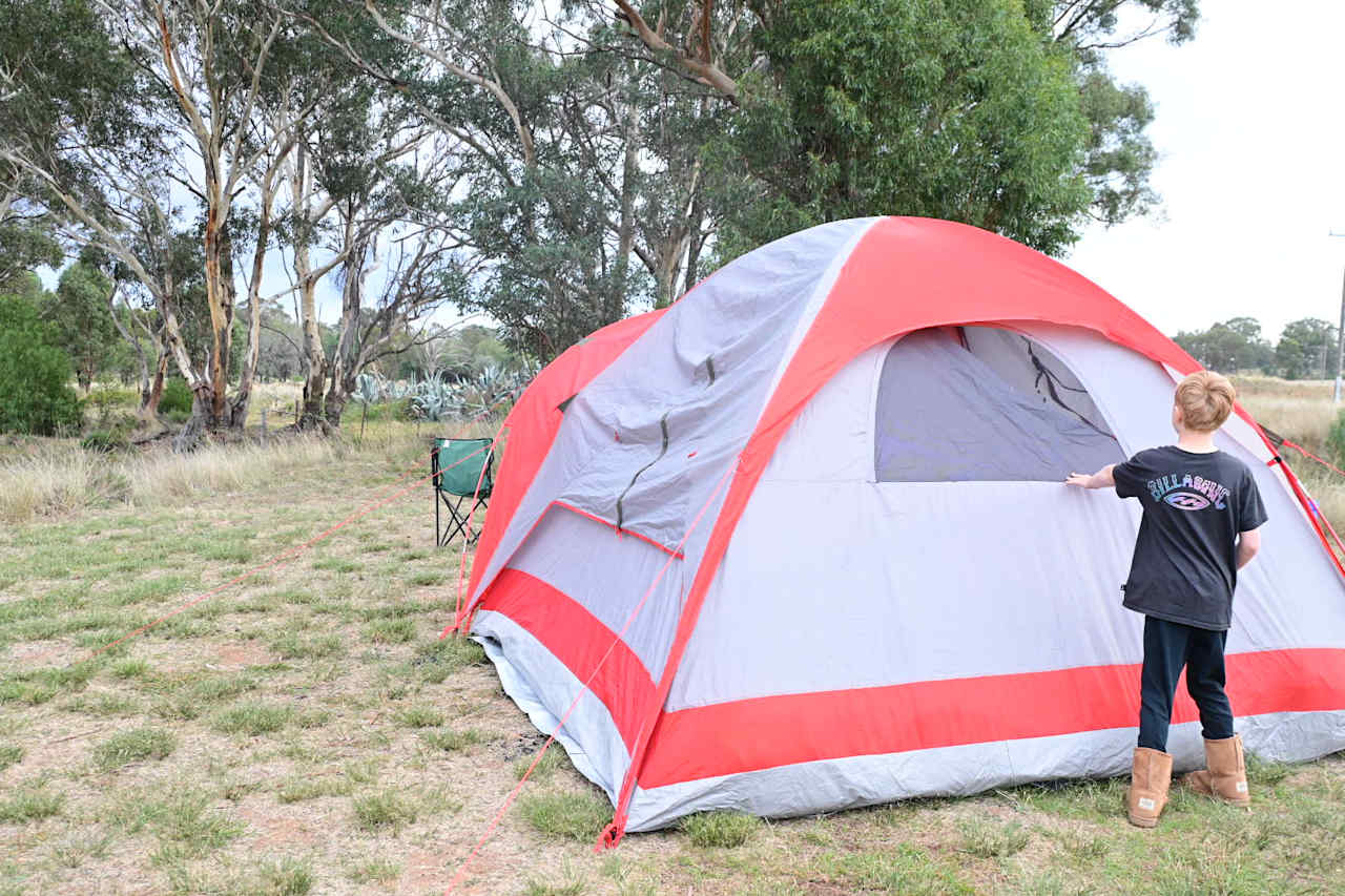Site 4