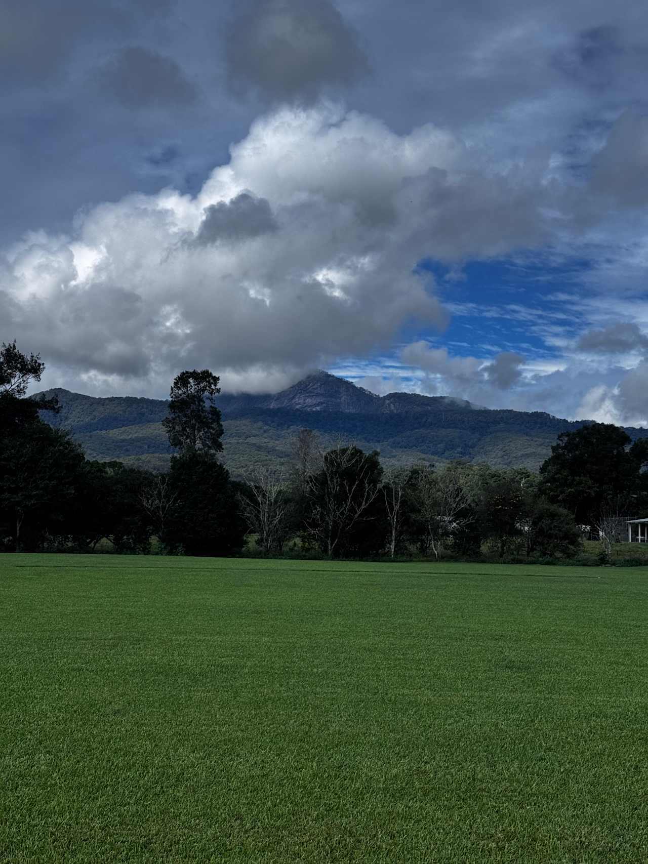 Tyalgum Showground