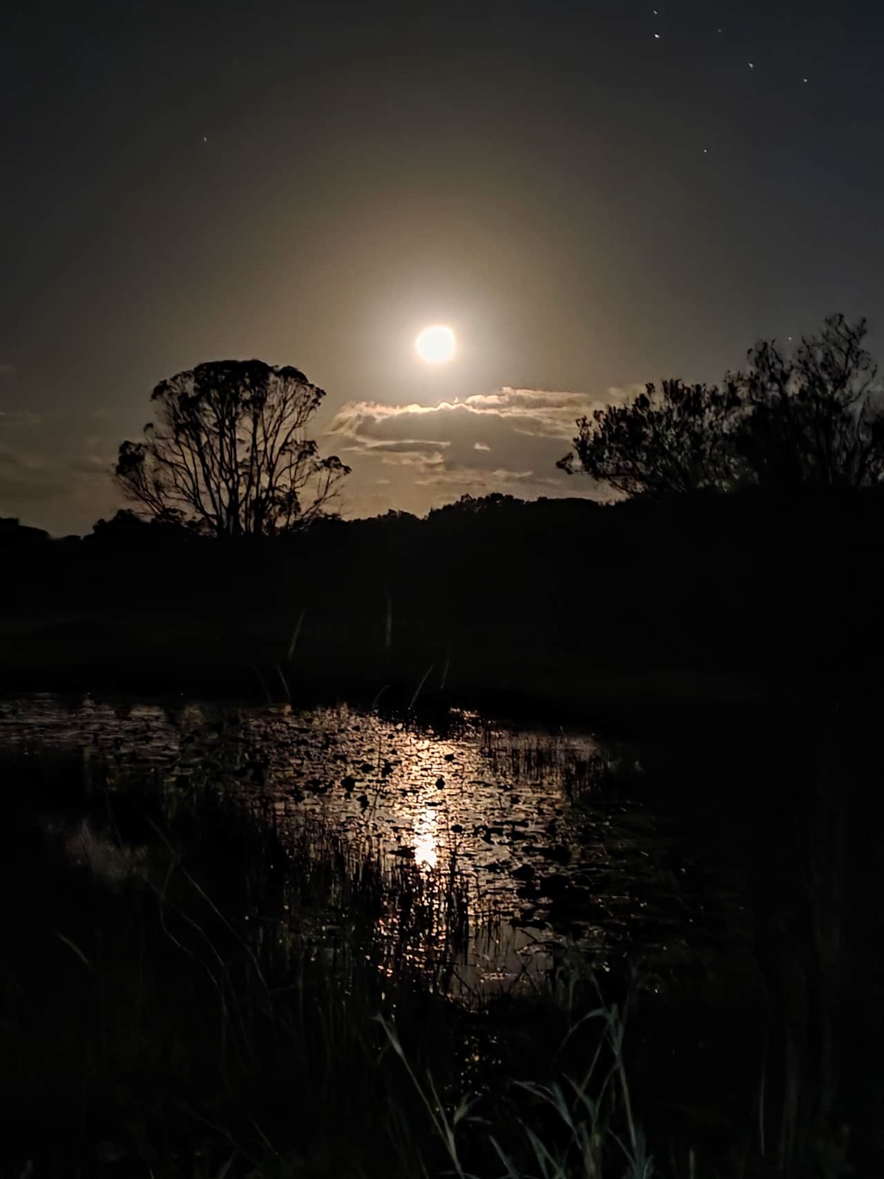 Full moon moments