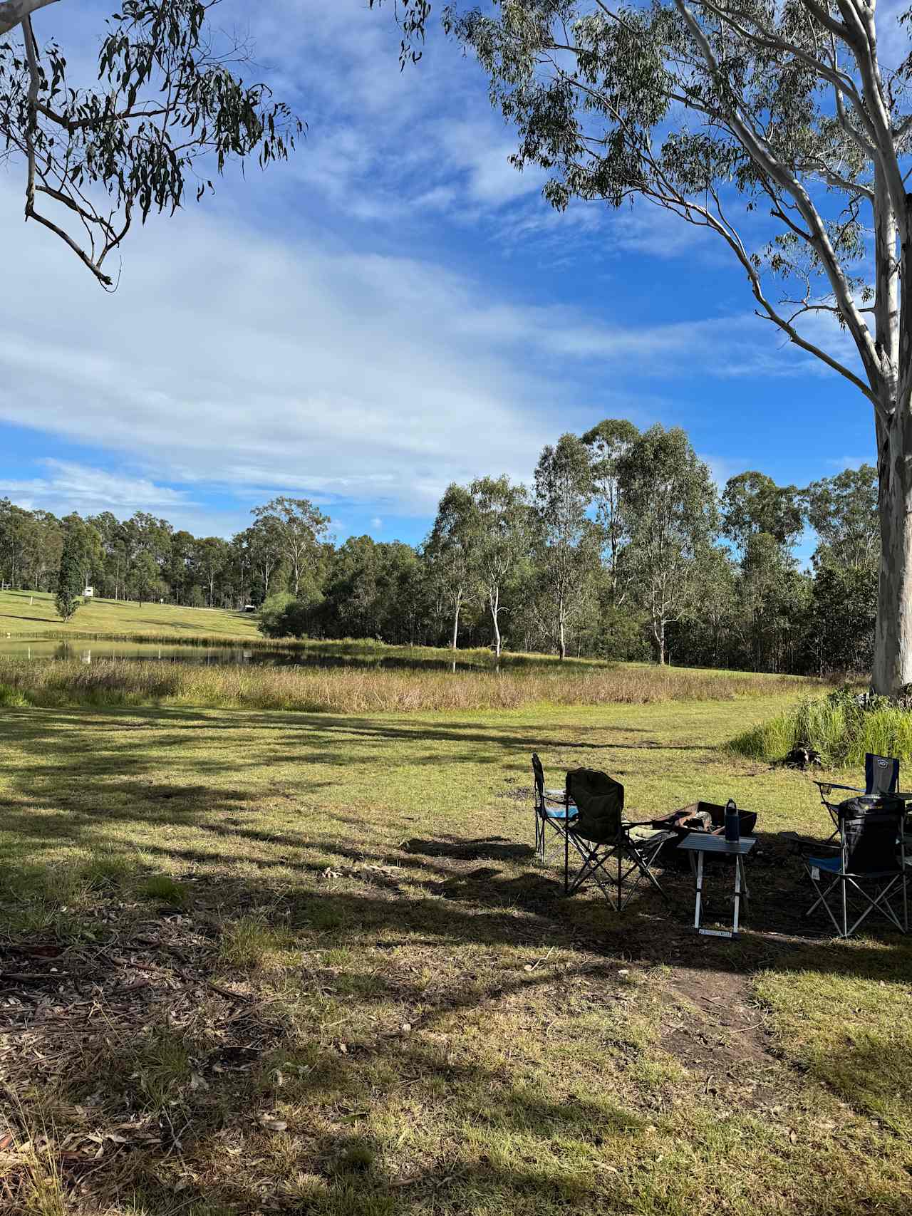 3 trees campsite 