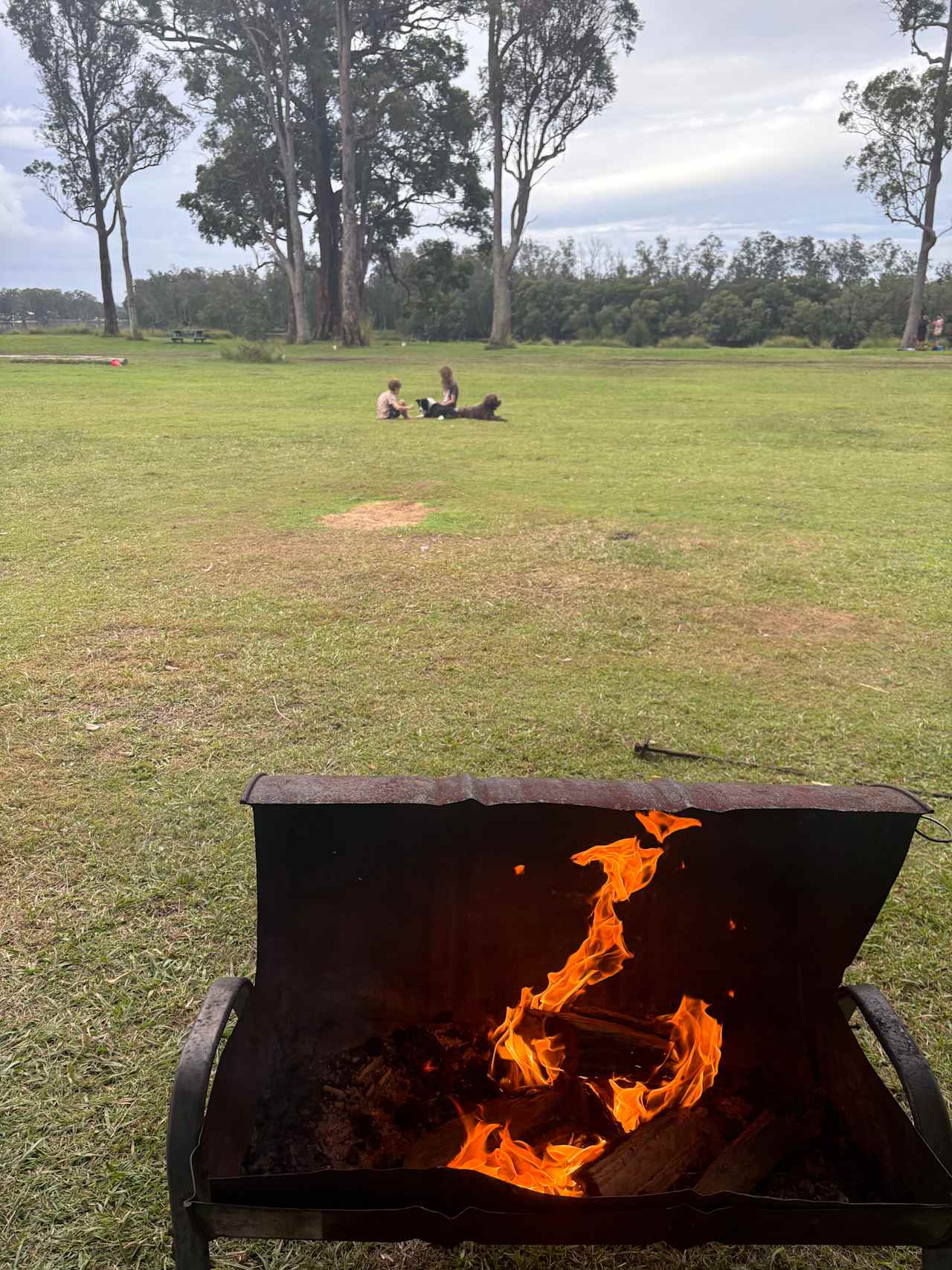 The Hatch Farm - Port Macquarie