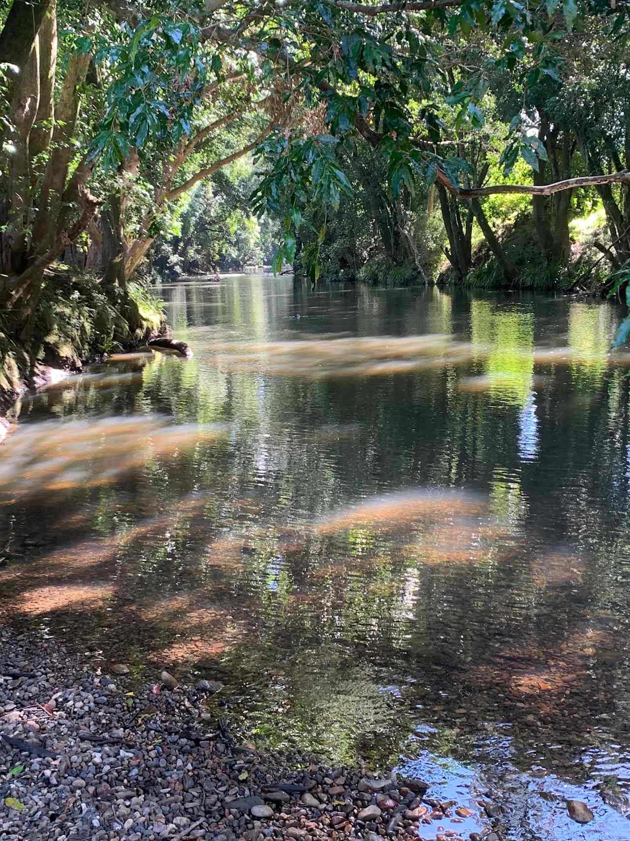 Willowbank