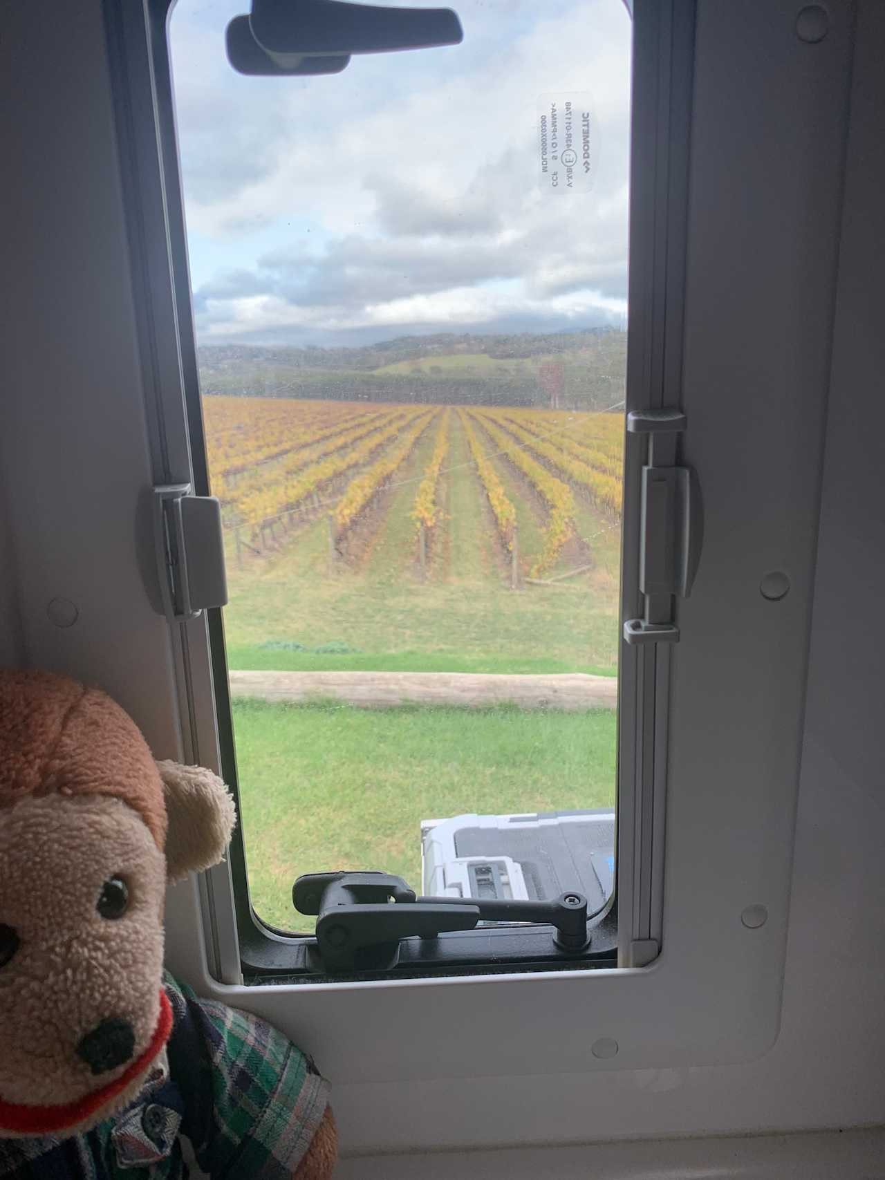 View from window next to bed. 