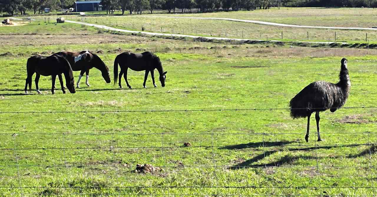 Green Valley Farm Stay