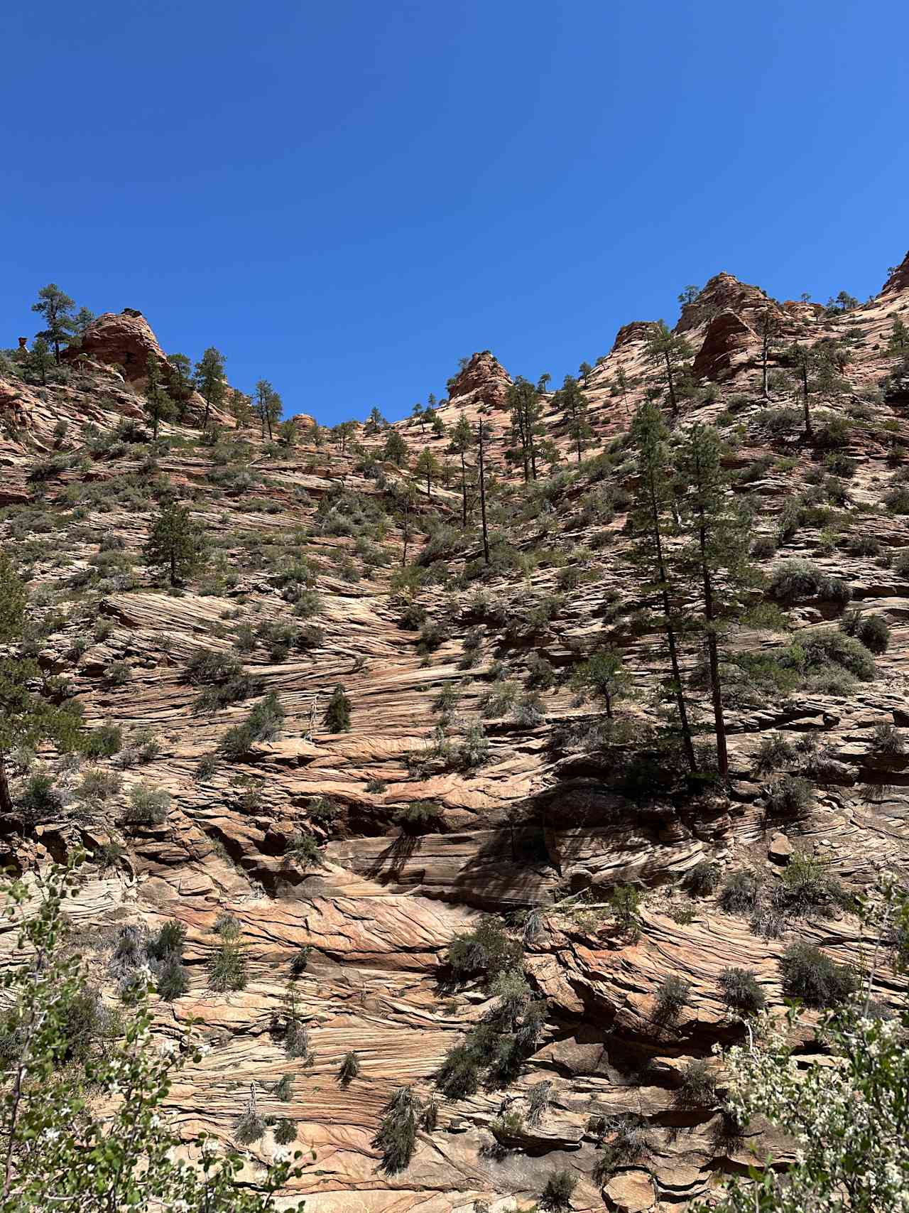 Water Canyon Hike to White Dome! 