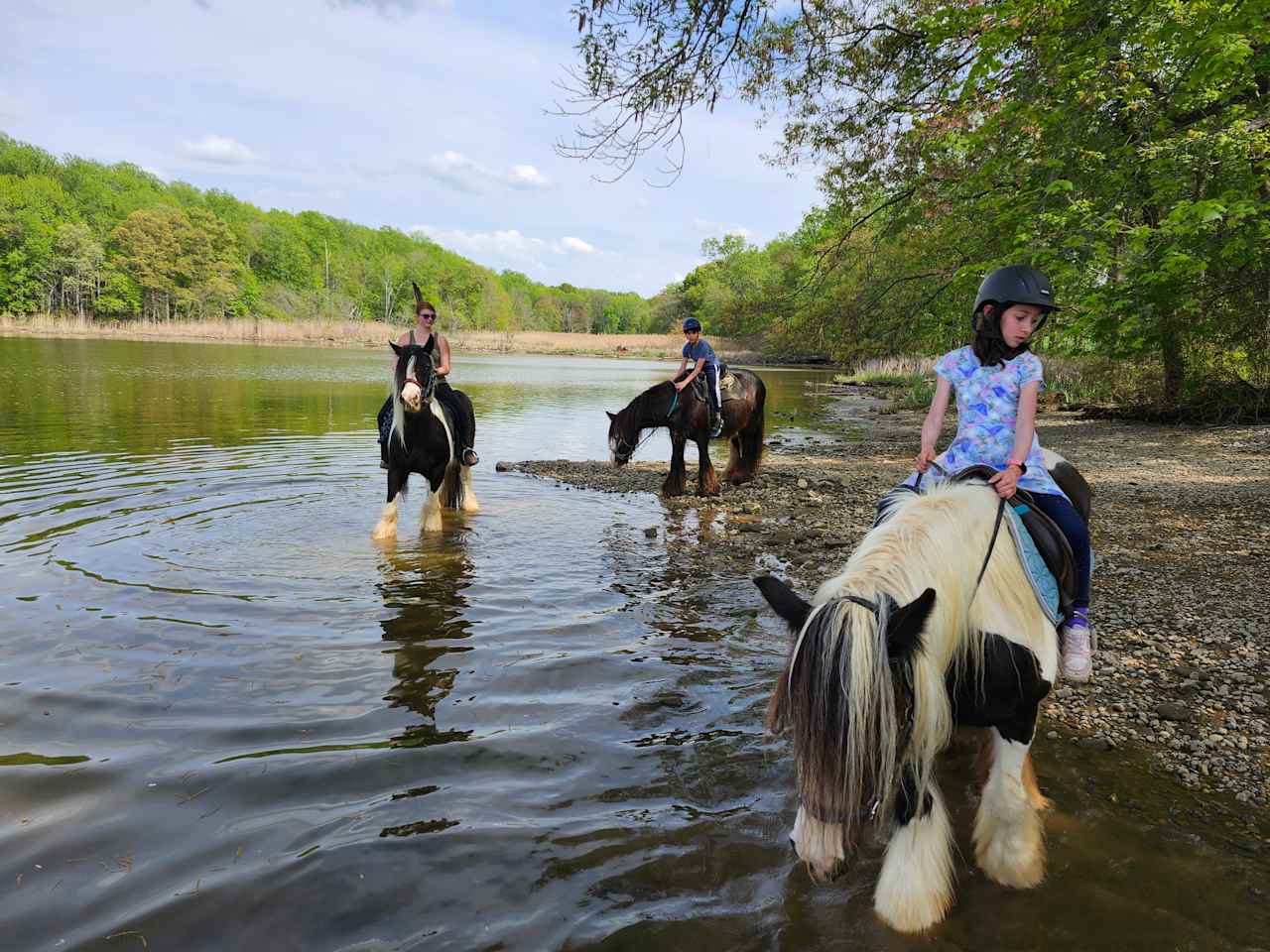 Waterfront horse tours.