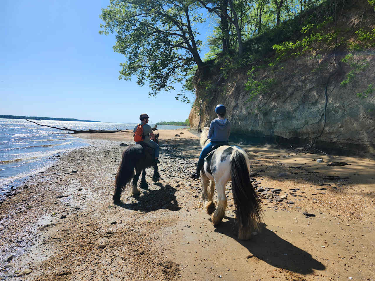 Grove Point Stables