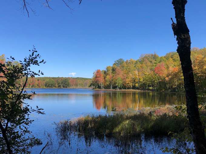 Audie Flowage-Perch Lake Campground