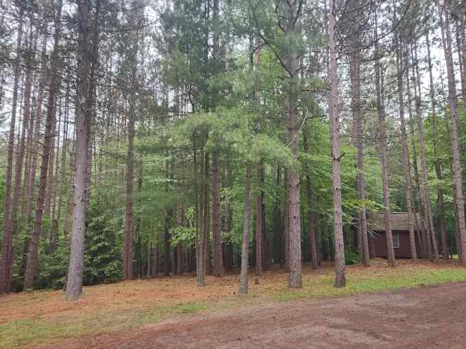 Boyers Pond Campground